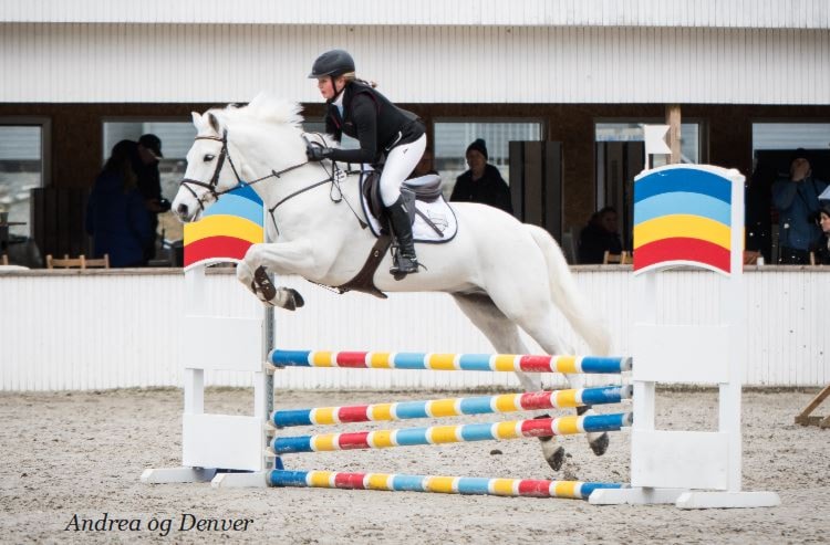 D-stevne Sandnes og Jæren Rideklubb 23-24.mars 2019